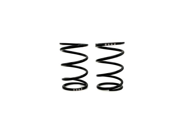 SWORKz GT Black Competition Feder Stoßdämpfer A4 (40x2.2x4.75)(GN)(2)